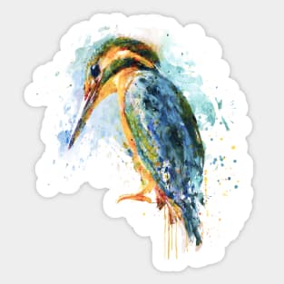 Kingfisher Bird Watercolor Painting Sticker